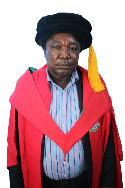 Dean of Postgraduate Studies, Eastern Technical University of Sierra Leone